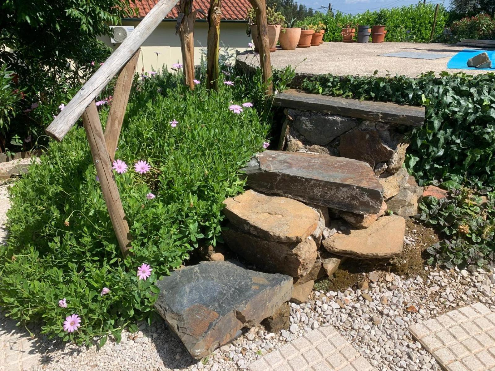 הוילה קסטניירה דה פרה Manor Meeder מראה חיצוני תמונה