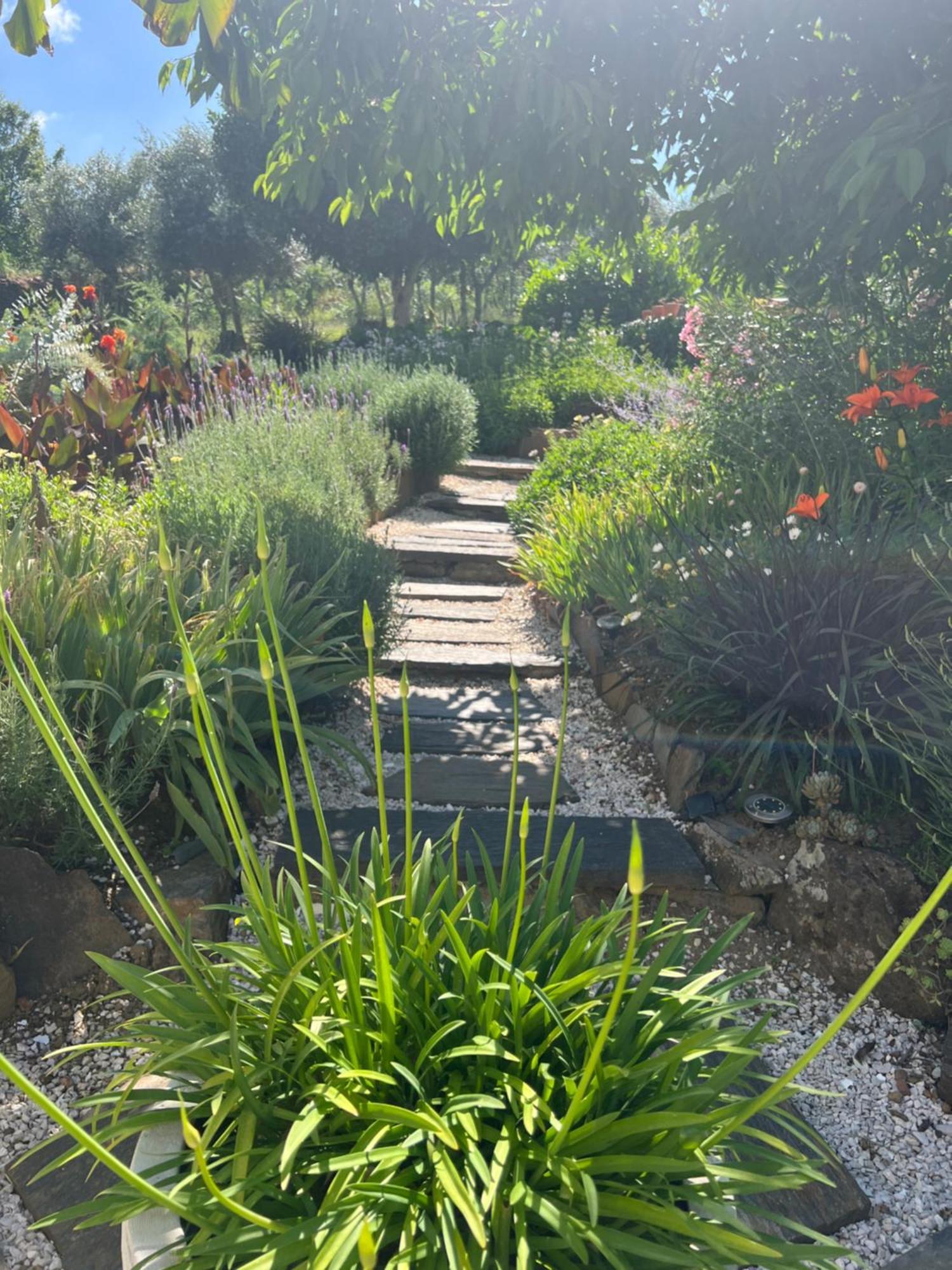 הוילה קסטניירה דה פרה Manor Meeder מראה חיצוני תמונה