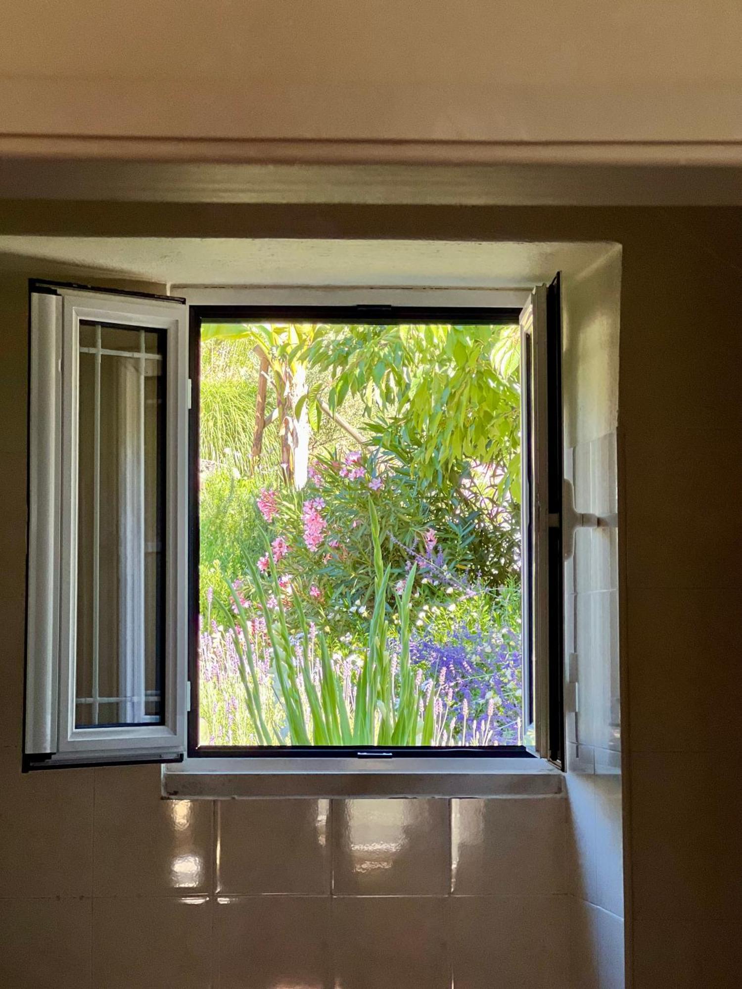 הוילה קסטניירה דה פרה Manor Meeder מראה חיצוני תמונה